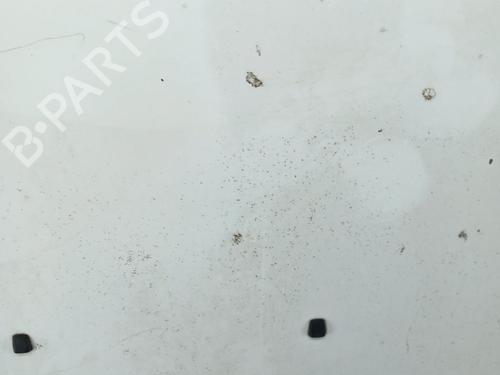 Hood FIAT DOBLO Box Body/MPV (223_)  | BP25102794C1 