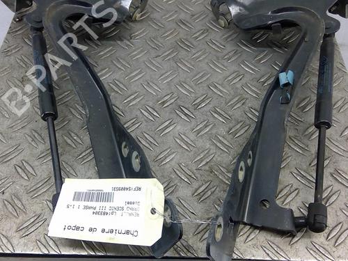 Used Hinge/Door check strap RENAULT SCÉNIC III (JZ0/1_) 1.5 dCi (106 hp) 25089541