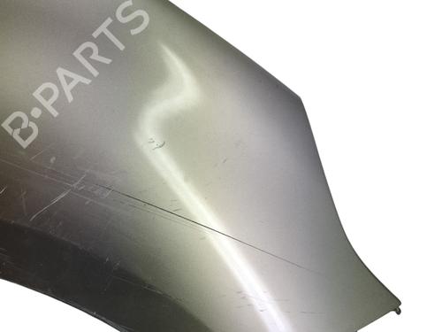 Right front fenders RENAULT SCÉNIC III (JZ0/1_) 1.5 dCi | BP27387873C42 