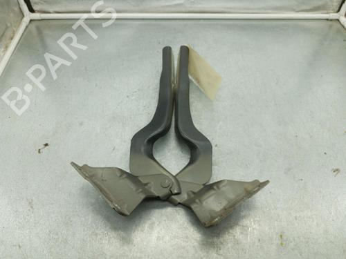 Used Hinge/Door check strap NISSAN QASHQAI / QASHQAI +2 I (J10, NJ10, JJ10E) 1.5 dCi (106 hp) 25104484