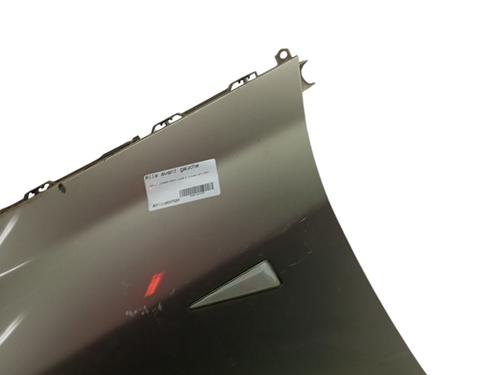 Used Left front fenders RENAULT ESPACE IV (JK0/1_) 2.0 dCi (JK01, JK02, JK1J, JK1K, JK1H) (150 hp) 31270475