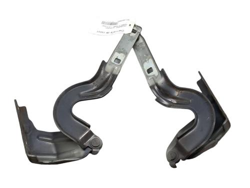 Hinge/Door check strap VW SHARAN (7N1, 7N2) 2.0 TDI | BP25062002C146 