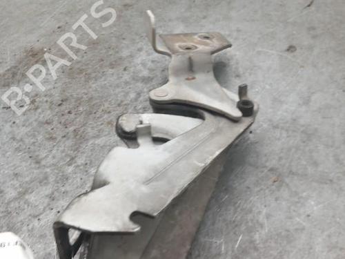 Hinge/Door check strap RENAULT KANGOO Express (FC0/1_) D 55 1.9 (FC0D) | BP25074715C146 