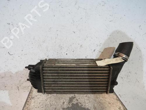 Used Intercooler Intercooler PEUGEOT 307 (3A/C) 2.0 HDi 135 (136 hp) 25109341 25109341