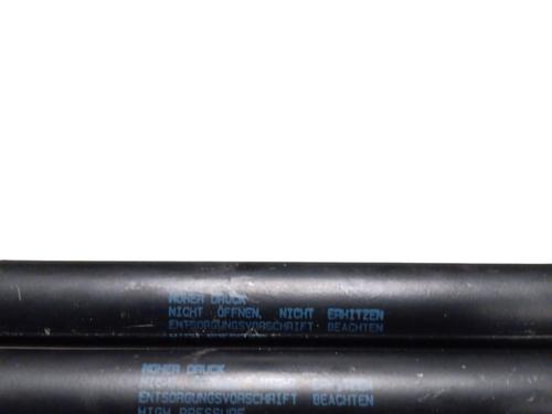 Tailgate lift support VW POLO IV (9N_, 9A_) 1.4 TDI | BP29968701C138