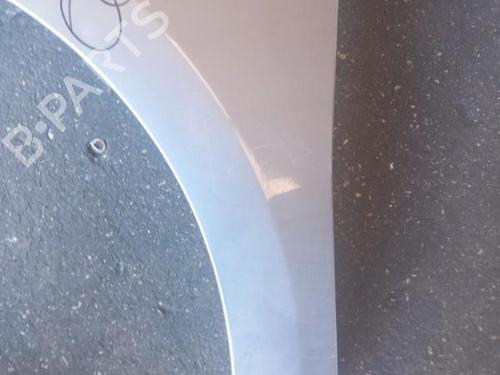 Used Left front fenders RENAULT MEGANE III Hatchback (BZ0/1_, B3_) 1.5 dCi (BZ09, BZ0D, BZ1W, BZ29, BZ14) (110 hp) 25060288