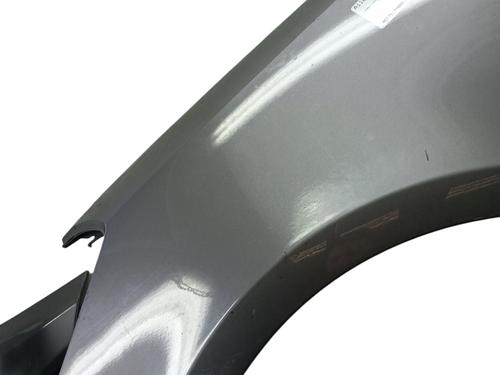 Left front fenders RENAULT CLIO III (BR0/1, CR0/1) 1.2 16V (BR0P, CR0P) | BP30900575C41 