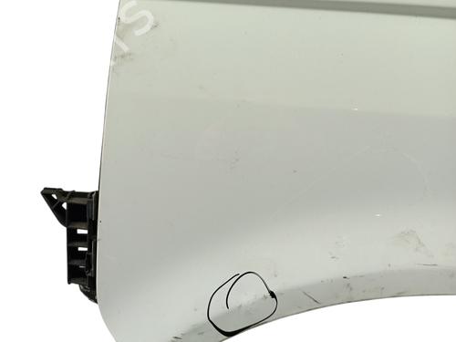 Used Left front fenders VW TRANSPORTER T5 Van (7HA, 7HH, 7EA, 7EH) 2.0 TDI (140 hp) 31064616