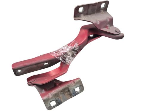 Hinge/Door check strap NISSAN QASHQAI I (J10, NJ10) 1.5 dCi | BP29180627C146 