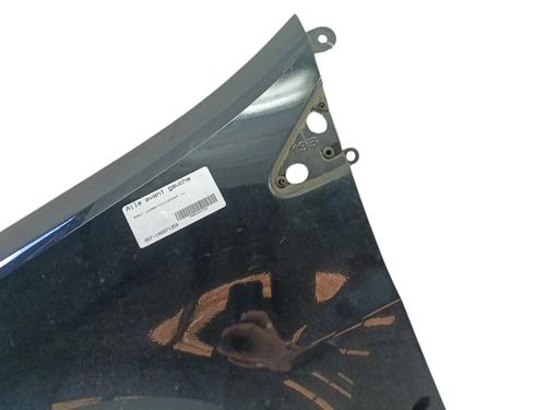 Left front fenders RENAULT CLIO III (BR0/1, CR0/1) 1.2 16V | BP26388338C41 