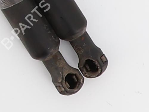 tailgate-lift-support-renault-scenic-iii-jz01_-2008-2009-2010-2011-2012-2013-2014-2015-2016-35998398 main image