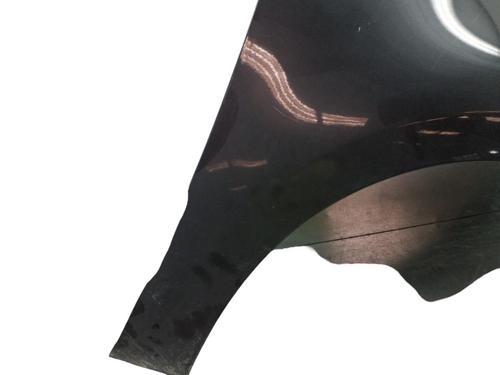 Used Right front fenders RENAULT SCÉNIC III (JZ0/1_) 1.5 dCi (JZ02, JZ0R) (95 hp) 25103947