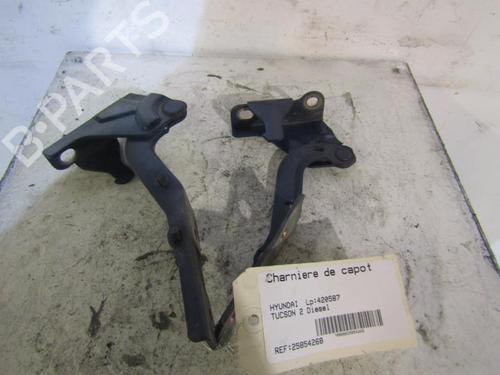 Used Hinge/Door check strap HYUNDAI TUCSON (JM) 2.0 CRDi All-wheel Drive (113 hp) 25090167