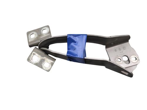 Hinge/Door check strap RENAULT KANGOO / GRAND KANGOO II (KW0/1_) 1.5 dCi (KW0C, KW2C, KW4C) | BP29898112C146