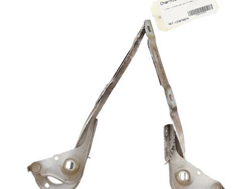 hingedoor-check-strap-citroen-berlingo-box-bodympv-k9-2018-33850827 main image