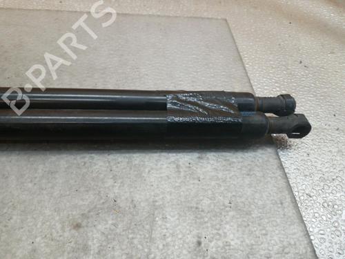 tailgate-lift-support-fiat-panda-169_-2003-25105394 main image
