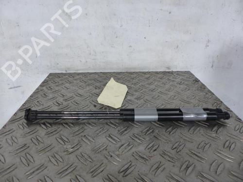 Used Tailgate lift support FORD KA (RU8) 1.2 (69 hp) 25091417