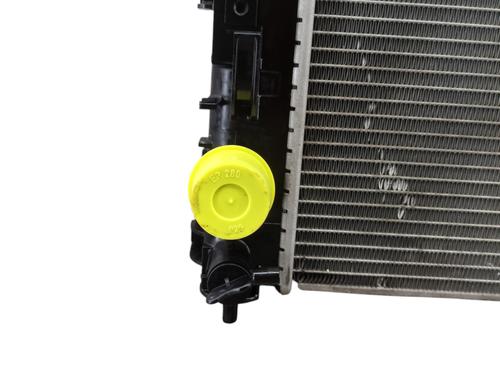 Køler NISSAN QASHQAI I (J10, NJ10) 2.0 | BP30816408M31 