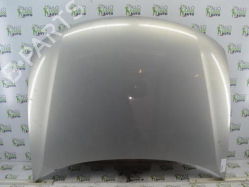 Used Hood VW PASSAT B5 (3B2) 1.9 TDI (115 hp) 25097684