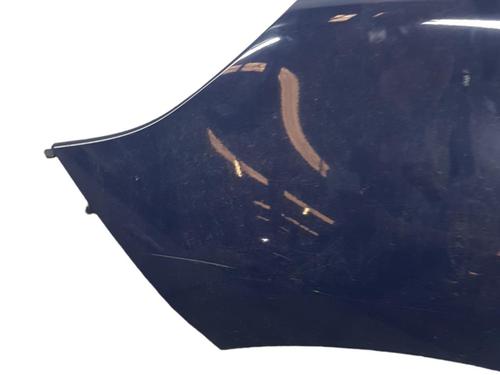 Used Left front fenders RENAULT SCÉNIC III (JZ0/1_) 1.5 dCi (106 hp) 25054085