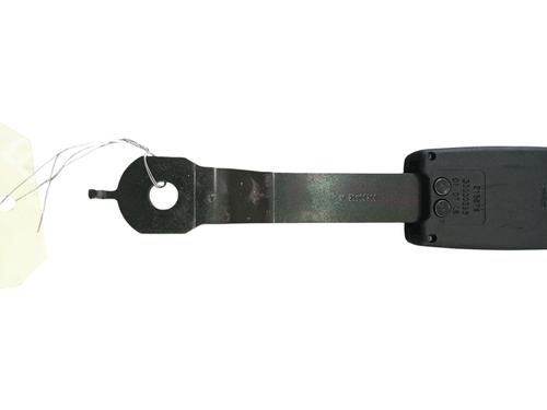 Seat buckle RENAULT CLIO III (BR0/1, CR0/1) 1.6 16V (BR09, BR0T, CR09, CR0T) | BP25869810I32 