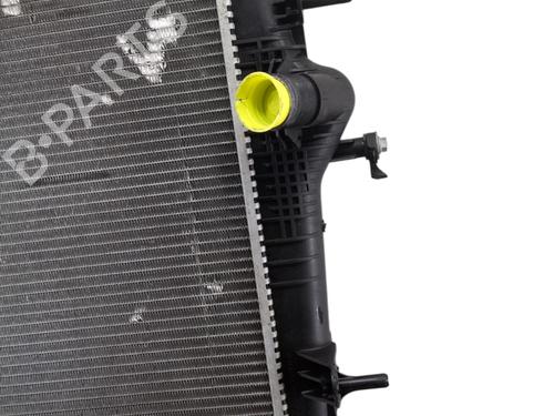 Køler RENAULT SCÉNIC III (JZ0/1_) 1.6 dCi (JZ00, JZ12) | BP30968991M31