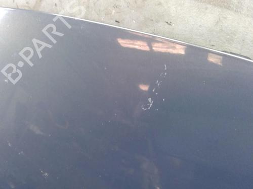 Hood RENAULT SCÉNIC II (JM0/1_) 1.9 dCi | BP25082754C1 