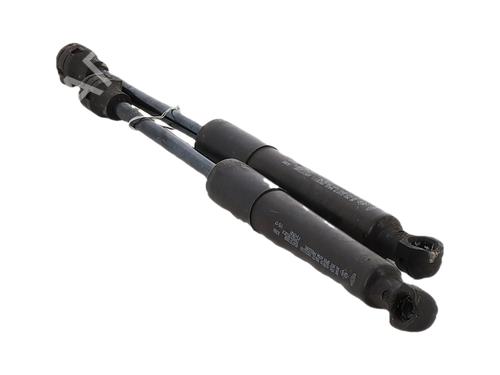 hood-lift-support-renault-zoe-bfm_-2012-37749127 main image