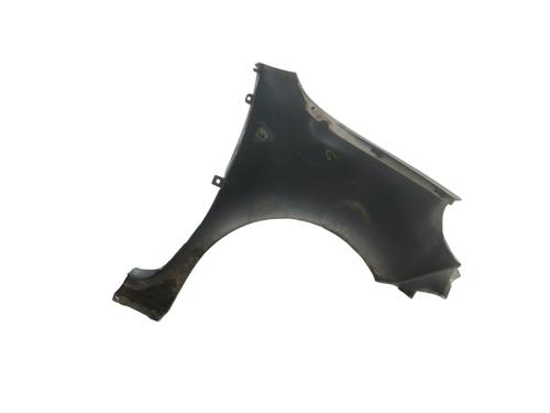 Left front fenders RENAULT KANGOO Express (FW0/1_) 1.5 dCi 70 (FW0A, KW0V) | BP25088577C41 