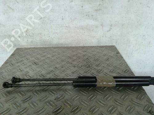 Tailgate lift support RENAULT ZOE (BFM_) ZOE | BP25082789C138 
