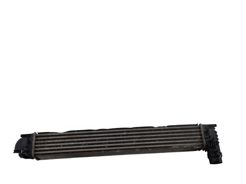 Intercooler RENAULT MEGANE III Hatchback (BZ0/1_, B3_) 1.2 TCe (BZ16, BZ28) | BP29612009M30 