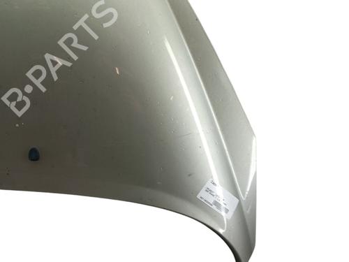 Capot Capot PEUGEOT 207 (WA_, WC_) 1.6 HDi (109 hp) 25100575 25100575