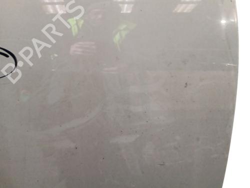 Right front door RENAULT SCÉNIC III (JZ0/1_) 1.5 dCi | BP31980691C3 