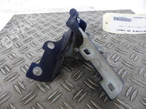 Used Hinge/Door check strap RENAULT CLIO II (BB_, CB_) [1998-2016]  25107915