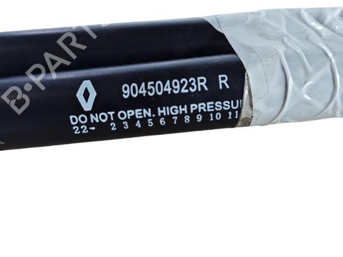Tailgate lift support DACIA SPRING EV (B6M1) | BP25744748C138 