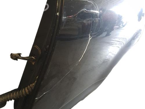 Left rear door NISSAN QASHQAI / QASHQAI +2 I (J10, NJ10, JJ10E)  | BP25099697C4 