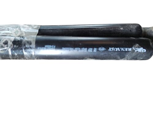 Tailgate lift support RENAULT ZOE (BFM_) ZOE | BP25756865C138