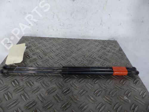 Used Tailgate lift support FIAT 500 (312_) 0.9 (312AXG1A, 312.AXG11) (86 hp) 25065529