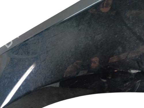 Guarda-lamas esquerdo BMW 1 (E81) 116 i | BP30566162C41 