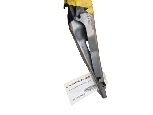 Hinge/Door check strap PEUGEOT 207 (WA_, WC_) 1.6 HDi | BP29222172C146 