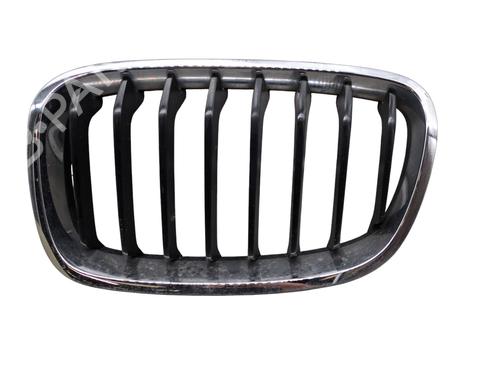 Used Grille BMW 1 (F20) 120 d (184 hp) 28544639