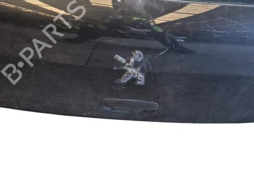 Tailgate PEUGEOT 307 (3A/C)  | BP25102461C6 