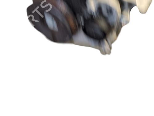 Engine RENAULT CLIO V (B7_) 1.5 Blue dCi 85 (B7AG) | BP30307680M1 