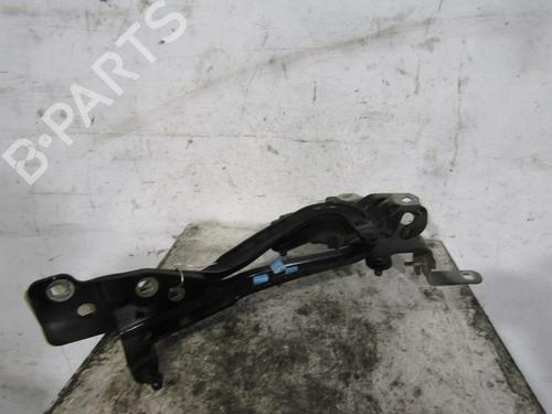 Used Hinge/Door check strap RENAULT SCÉNIC III (JZ0/1_) 1.9 dCi (JZ0J, JZ1J, JZ1K, JZ1S) (131 hp) 25085222