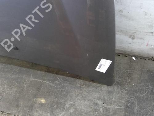 Hood FIAT BRAVO II (198_) 1.6 D Multijet (198AXH1B) | BP25110582C1