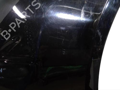 Right front fenders SEAT ALHAMBRA (7V8, 7V9)  | BP25081977C42 