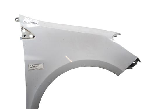 Right front fenders RENAULT CLIO III (BR0/1, CR0/1) 1.5 dCi (C/BR0G, C/BR1G) | BP29175550C42 