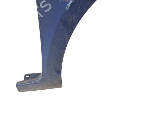 Right front fenders RENAULT CLIO III (BR0/1, CR0/1) 1.5 dCi (C/BR0G, C/BR1G) | BP26652479C42 