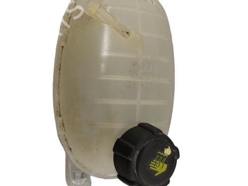 Expansion tank DACIA SANDERO II 1.5 Blue dCi 95 (B8JL) | BP25076650C120