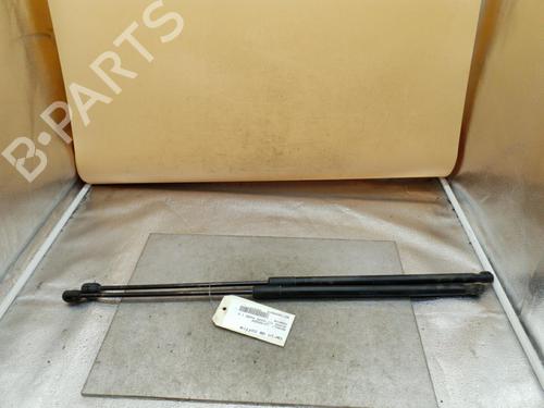 Tailgate lift support RENAULT MEGANE III Coupe (DZ0/1_) 2.0 TCe (DZ0K) | BP25092881C138 